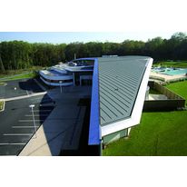 Membrane d'étanchéité à paillettes d'ardoises colorées | Derbicolor / Derbilist