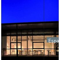 Réflecteur suspendu compact de 26 à 400 watts de puissance | Newton 450