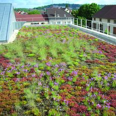 Procédé et systèmes complets de végétalisation de toiture | Solutions multicouches Vegetal i.D.