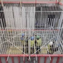 Armatures en résine synthétique et fibres de verre | Combar