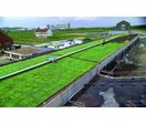 Système de végétalisation pour toiture-terrasse | Epdm Green