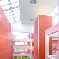 Dalle acoustique en laine de roche | Rockfon Ekla