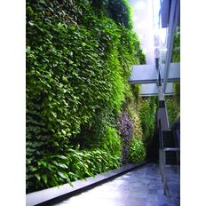 Panneau vertical pour végétalisation en façade | Wallflore Per