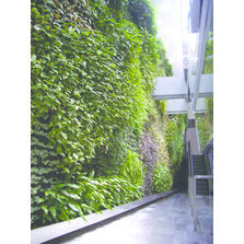 Panneau vertical pour végétalisation en façade | Wallflore Per