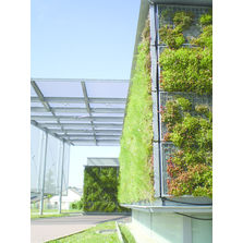 Ecran végétal respirant pour façades | Vivagreen