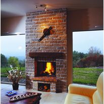 Inserts multi-énergies à porte vitrée | Stella II