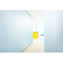 Revêtement mural vinylique en 18 teintes pour ERP | Spring