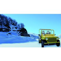 Véhicule 4 x 4 électrique pour petits déplacements | X4 Volteis