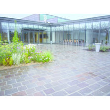 Dalles en porphyre de différentes dimensions et finitions | Dalles