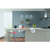 Lambris grande largeur fixé sur languette | SP400