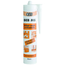 Mastic-colle multiusage | Geb MS