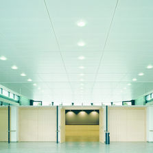 Dalles décors bois pour faux-plafond à ossature cachée | Madera Vector