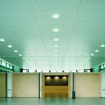 Dalles décors bois pour faux-plafond à ossature cachée | Madera Vector