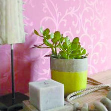 Revêtement textile acoustique tendu | Muracoustic