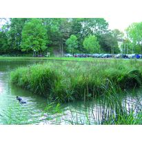 Structure flottante végétalisée | Radeau végétalisé