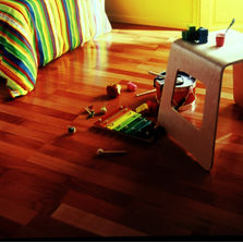 Vitrificateur sans solvant à séchage rapide | Vitrificateur Protection Intense