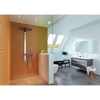 Receveur de plain-pied monopente en dix modèles | Fundo Riolito Neo