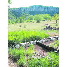 Filtres à roseaux pour l'optimisation de l'assainissement | Geokit Filtre à Roseaux Autoepure