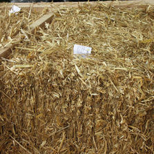 Isolant en paille pour bâtiments à ossature bois | Ecovilla Mur