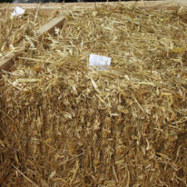 Isolant en paille pour bâtiments à ossature bois | Ecovilla Mur