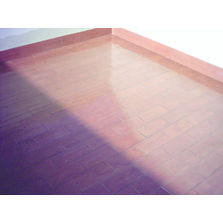 Membrane transparente polyuréthane pour étanchéité | Desmopol T