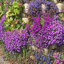 Bloc béton pour mur de soutènement végétalisable de moins de 2 m de hauteur | Atalus 18