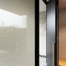 Tissus adhésifs pour vitrage | Squid Oak