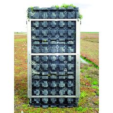 Mur végétalisé modulaire avec réseau d'irrigation | Vertipack