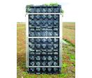 Mur végétalisé modulaire avec réseau d'irrigation | Vertipack