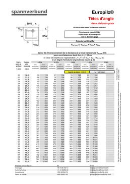 Tête de poinçonnement pour colonnes acier et béton | Europliz