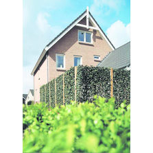 Clôture végétalisée modulaire | Vegeclos