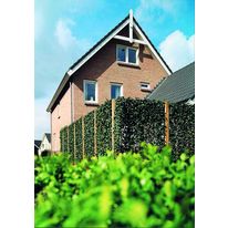 Clôture végétalisée modulaire | Vegeclos