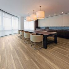 Revêtement de Sol LVT Clic Rigide | Expona Clic Wood 19dB