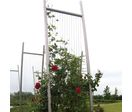 Supports métalliques modulables pour plantes grimpantes | Ijslander