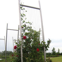 Supports métalliques modulables pour plantes grimpantes | Ijslander
