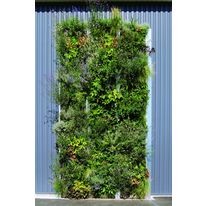 Paroi verticale végétalisée pour façade ou de séparation | Jardin Vertical