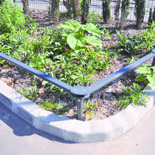 Lisse de protection de végétaux | Cloliss