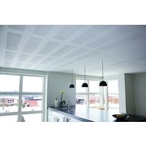 Plaque de plâtre perforée avec voile en fibre de verre absorbant | Delta 4 Tangent