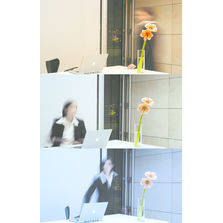 Luminaires à variation de niveau d'éclairement | Carpe Diem