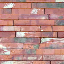 Brique perforée étirée monocuisson | Tribunus