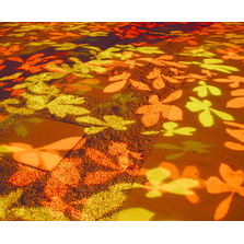 Projecteur d'images et couleurs pour extérieur | Imager 300 Mix