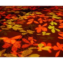 Projecteur d'images et couleurs pour extérieur | Imager 300 Mix