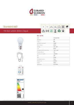 Ampoule LED standard A60 330° 9W B22 4 000 k 806 Lm | 160198