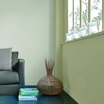 Peinture murale mate à composants naturels | Eléments