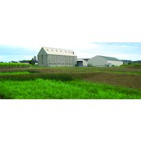 Phytoremédiation des boues et transformation des déchets organiques en terreau | Bioferme