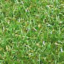 Gazon synthétique de 40 mm de hauteur pour sol de jardins | Nicia