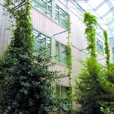 Bardage-collé en bois douglas hors aubier en lames larges | Bardage collé HA