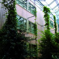 Bardage-collé en bois douglas hors aubier en lames larges | Bardage collé HA