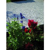 Coulis ou mortier fluide pour la réalisation de voiries décoratives | Articimo Chaussée romaine