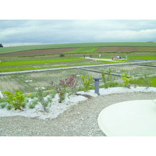 Assainissement autonome par filtres de roseaux | Ecophyltre